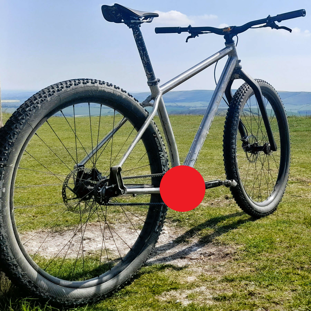 853 Tiger - Pinion 853 Steel Bike Builder