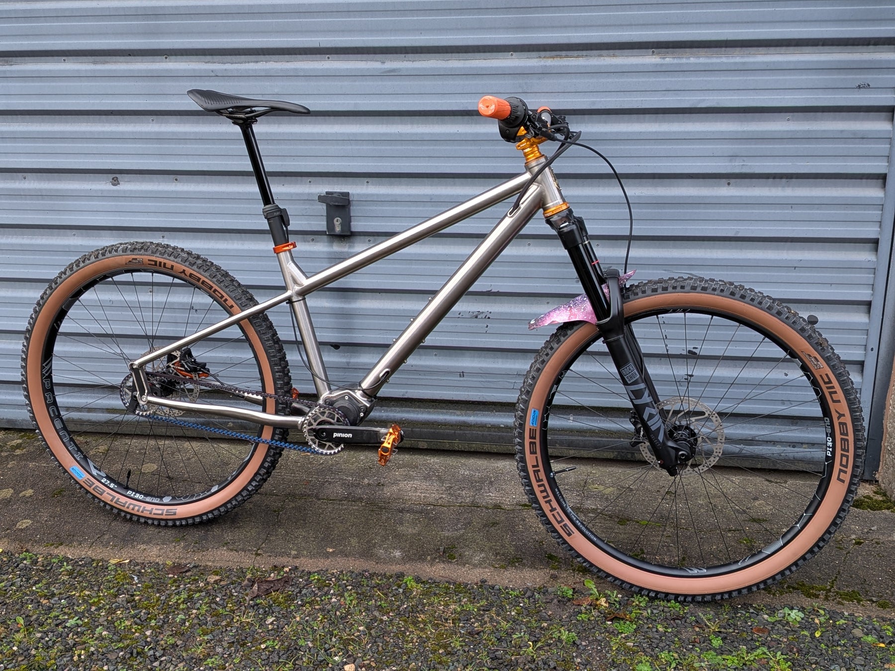 853 Ram - Pinion 853 Steel Bike Builder