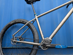 Lamb - Pinion Titanium Bike Builder